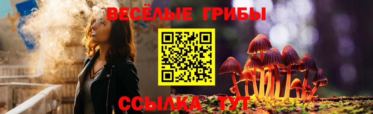 Галлюциногенные грибы Psilocybine cubensis Канск